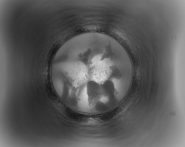 X0000088480737200706121530