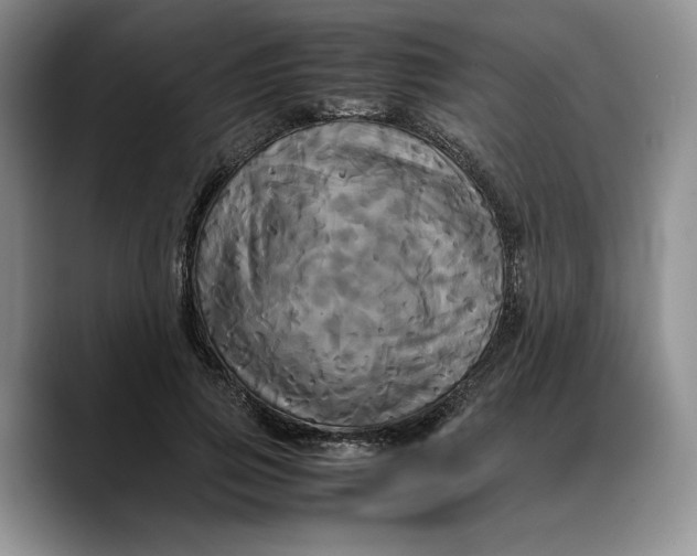 X0000088480741200706121530