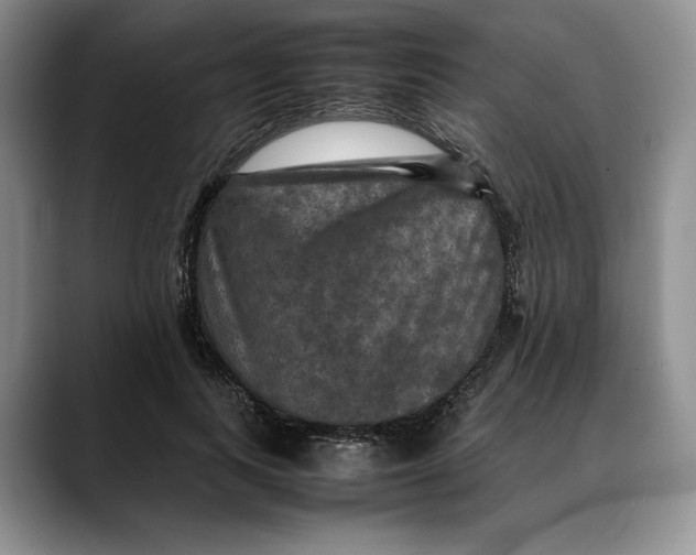 X0000088480743200706121530