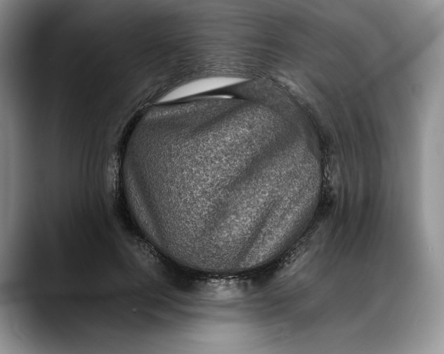 X0000088480744200706121530