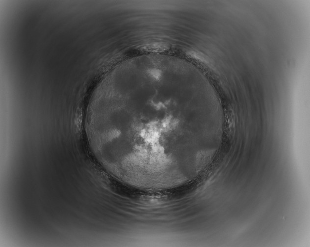 X0000088480745200706121530