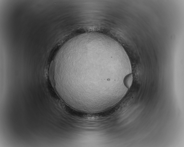 X0000088480746200706121530