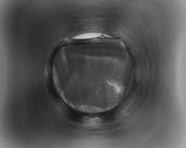 X0000088480747200706121530