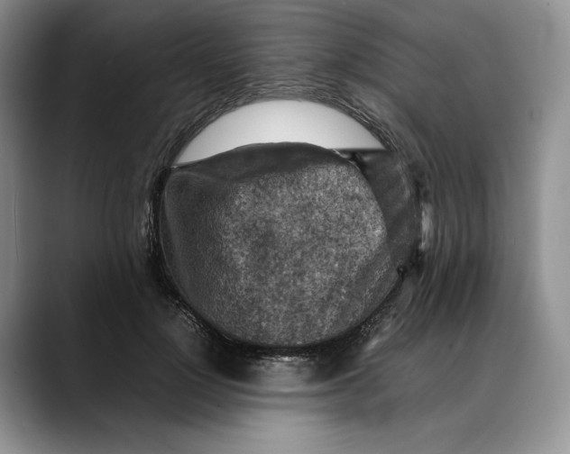X0000088480748200706121530