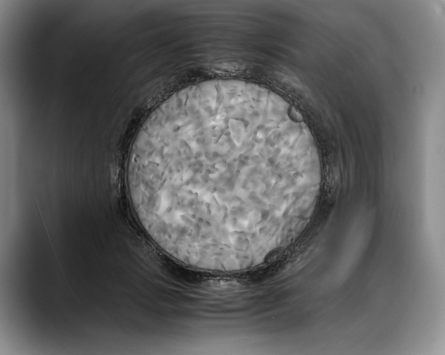 X0000088480749200706121530