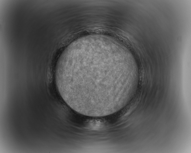X0000088480751200706121530