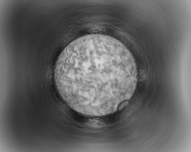 X0000088480753200706121530