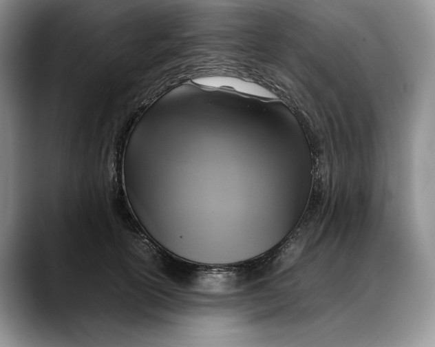X0000088480754200706121530