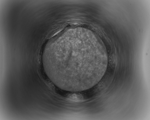 X0000088480755200706121530