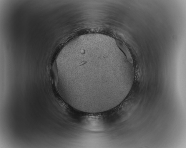 X0000088480756200706121530