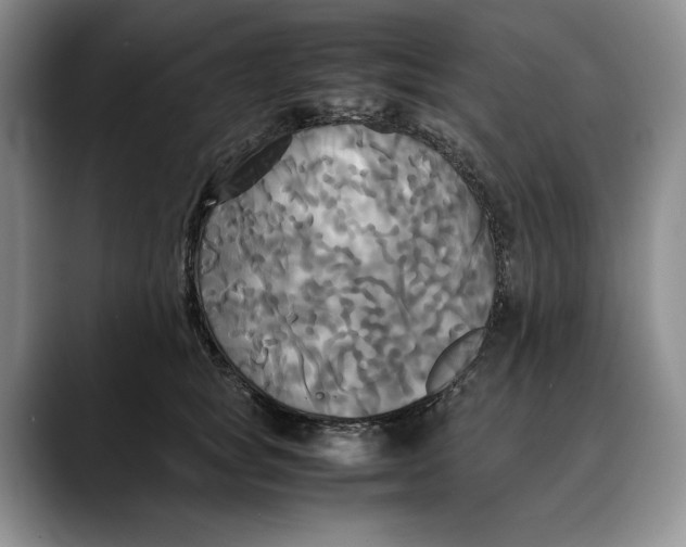 X0000088480757200706121530