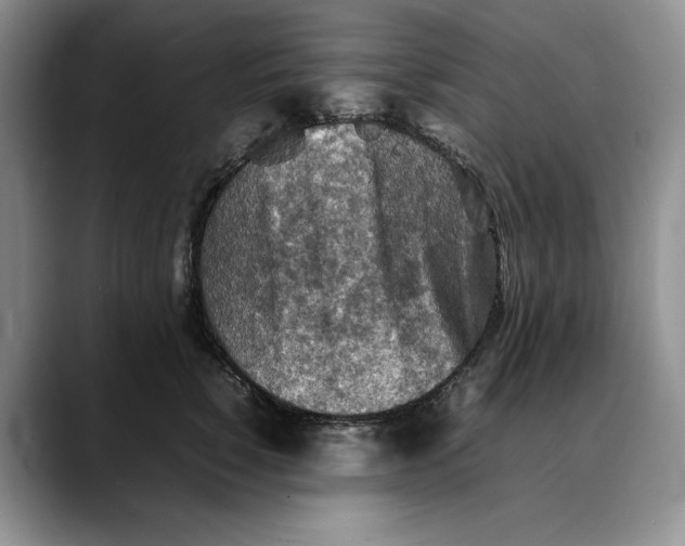 X0000088480760200706121530