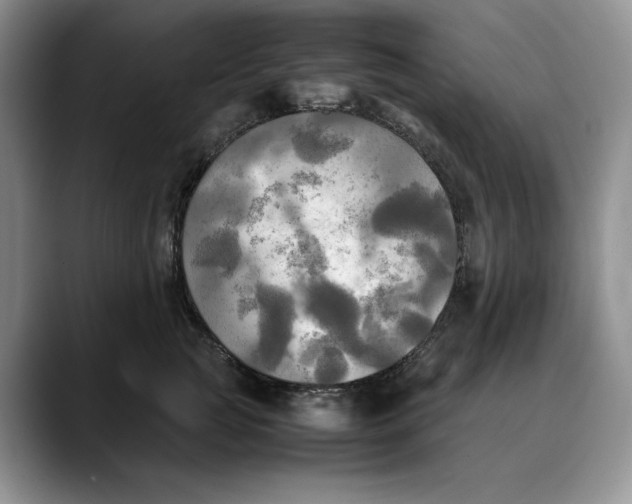 X0000088480761200706121530