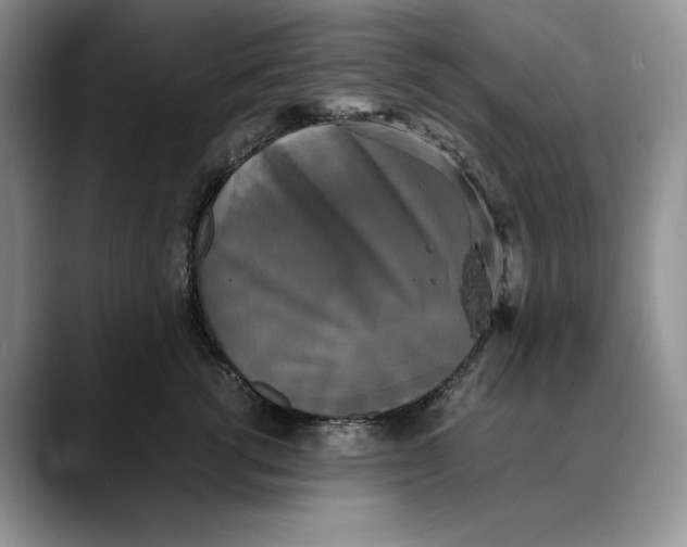 X0000088480762200706121530