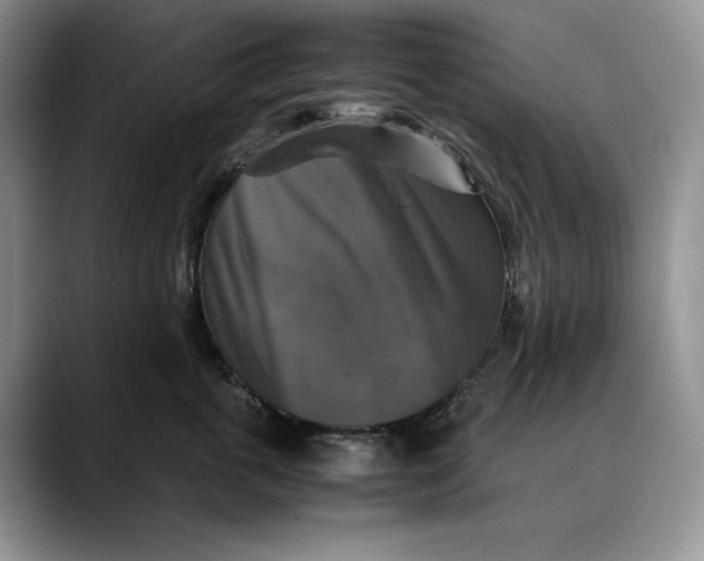 X0000088480763200706121531