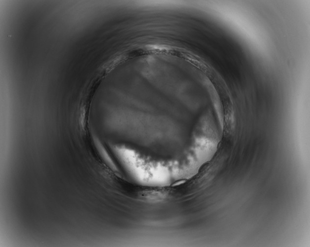 X0000088480765200706121531
