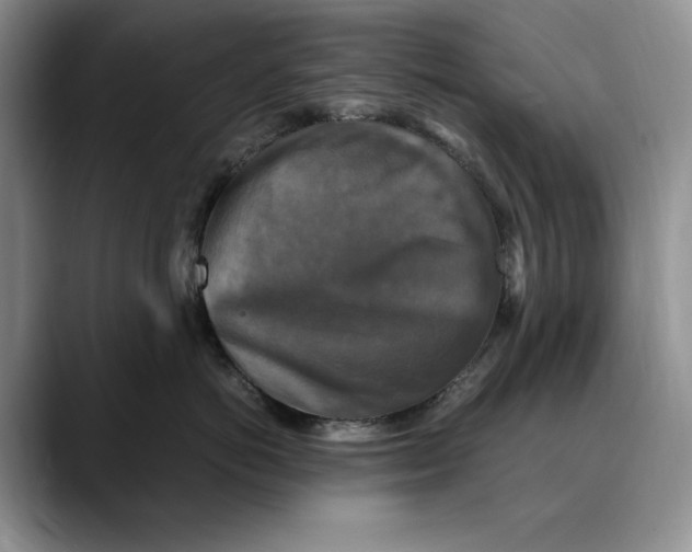 X0000088480766200706121531