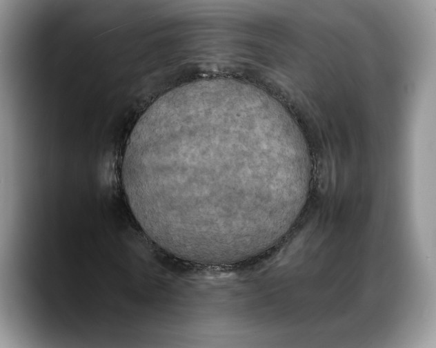 X0000088480770200706121530