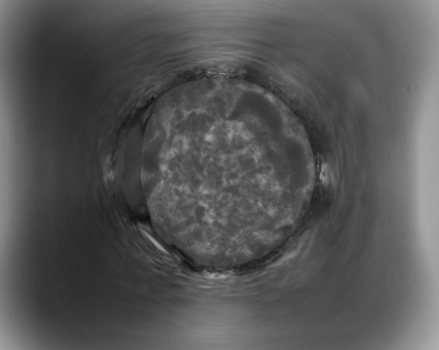 X0000088480771200706121530