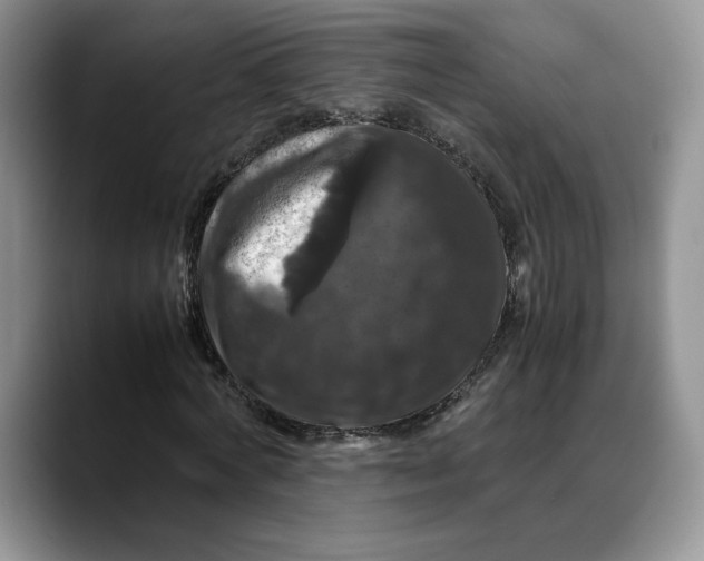 X0000088480772200706121530