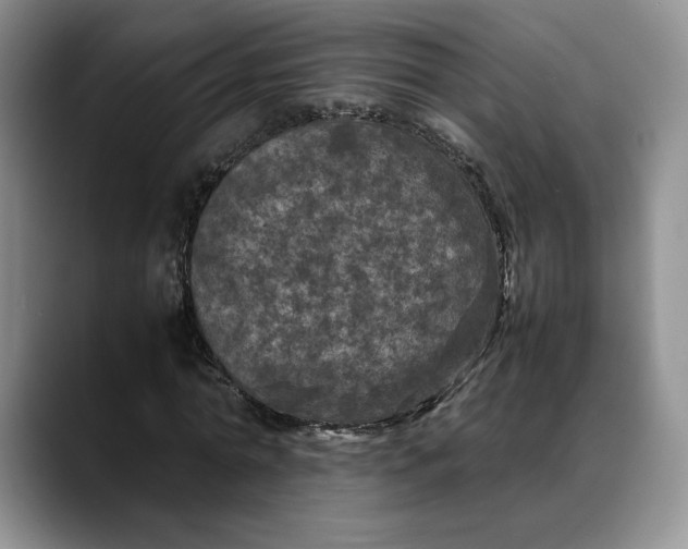X0000088480774200706121530