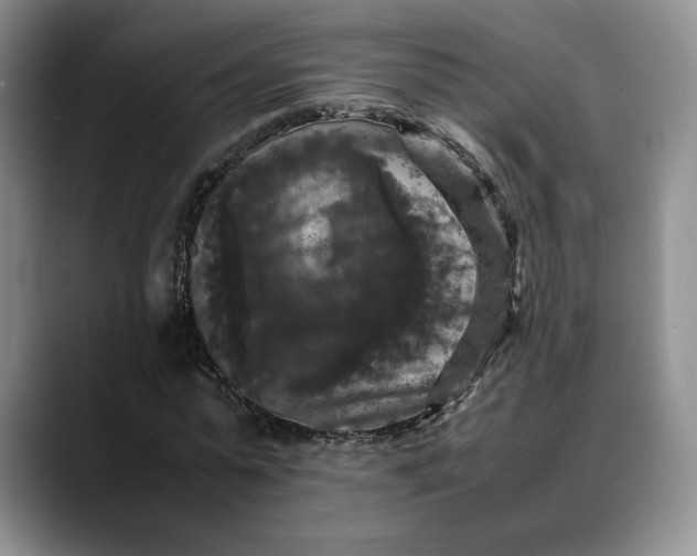 X0000088480775200706121530