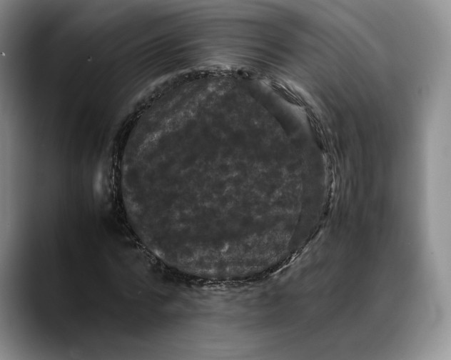 X0000088480776200706121530
