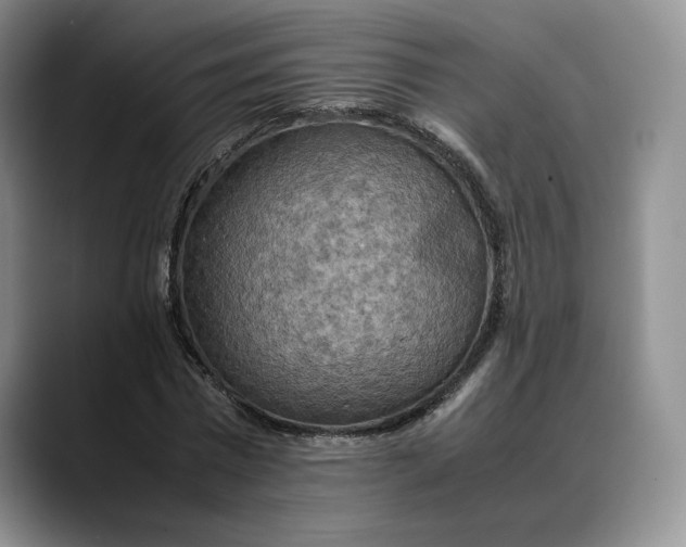 X0000088480777200706121530