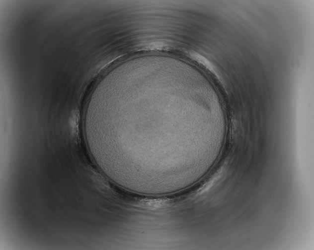 X0000088480778200706121530