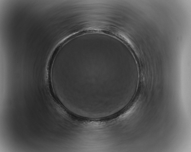 X0000088480779200706121530