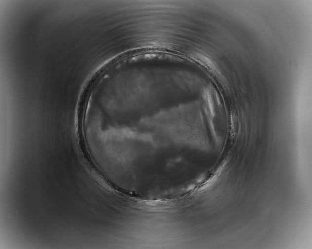 X0000088480780200706121530