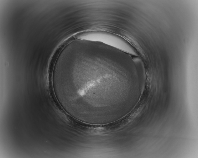 X0000088480784200706121530