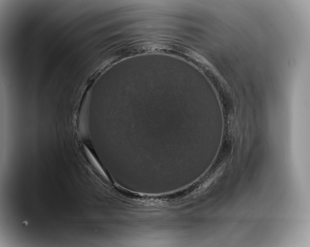 X0000088480785200706121530