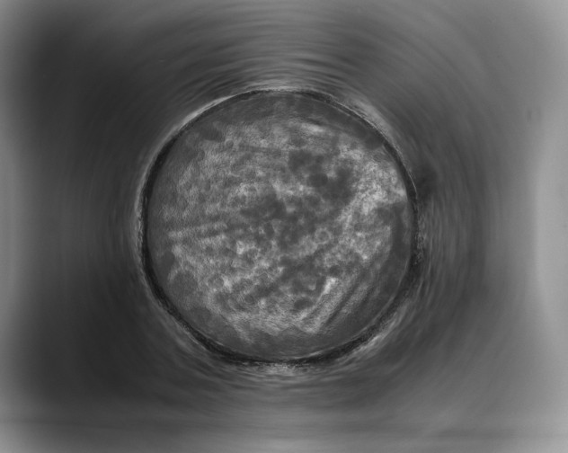 X0000088480787200706121530