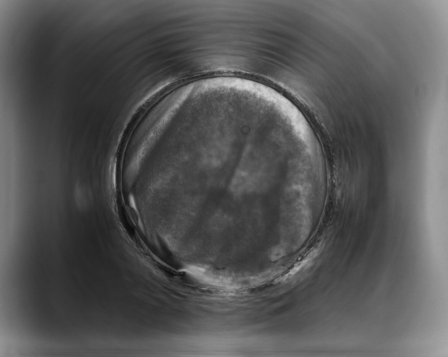 X0000088480790200706121530