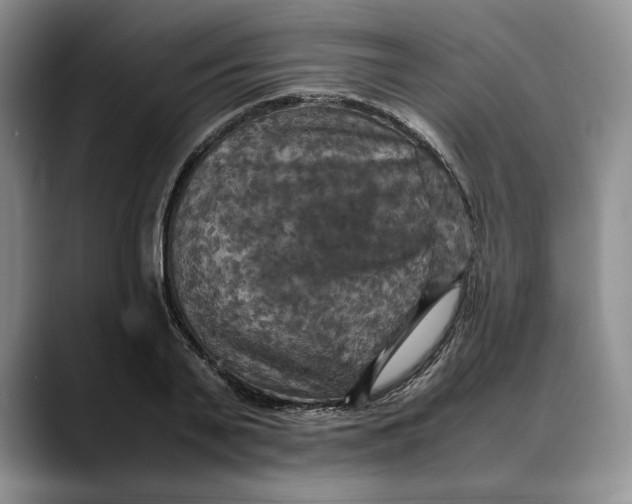 X0000088480791200706121530