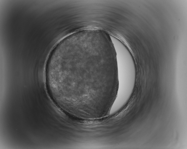 X0000088480795200706121530