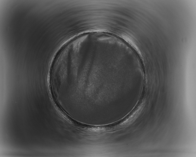 X0000088480797200706121530