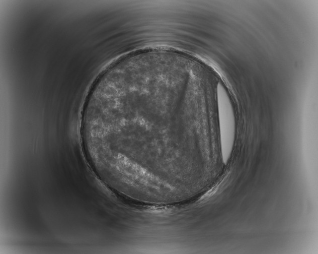 X0000088480799200706121530
