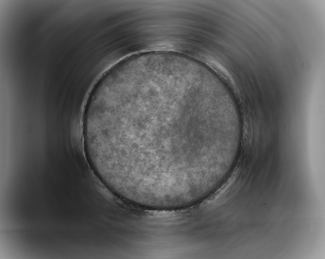 X0000088480800200706121530