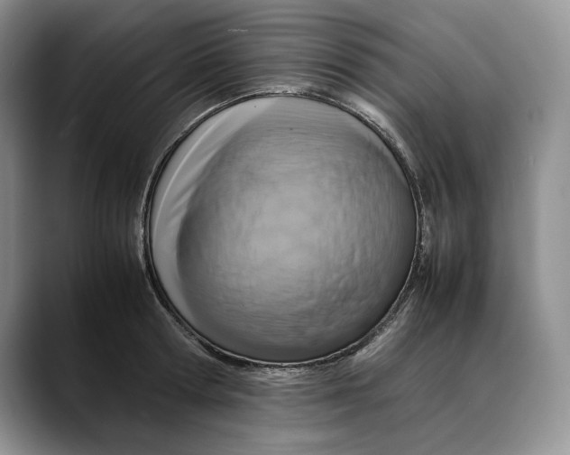 X0000088480802200706121530