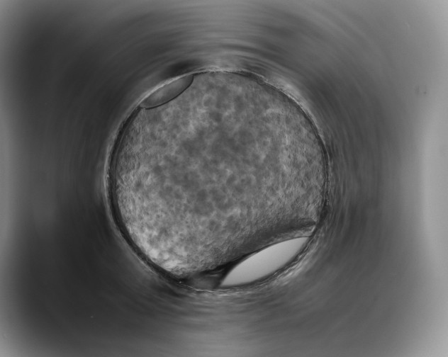 X0000088480803200706121530