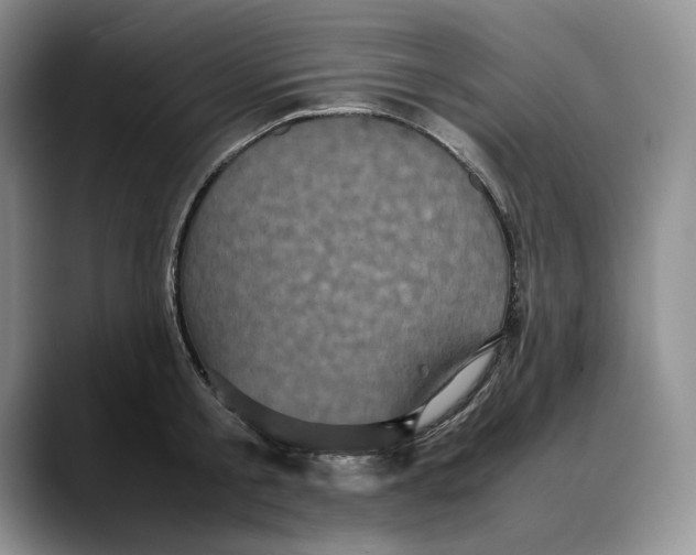 X0000088480805200706121530
