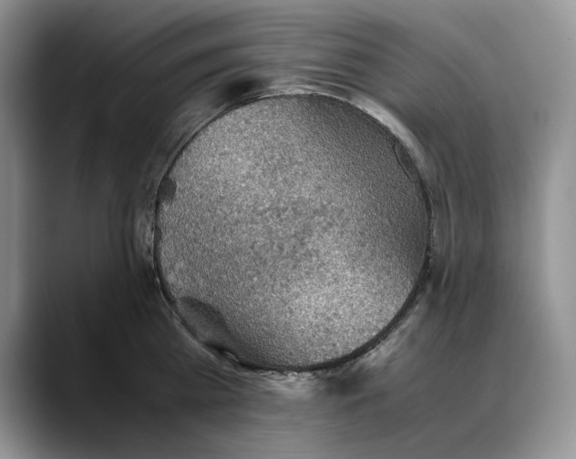 X0000088480809200706121530