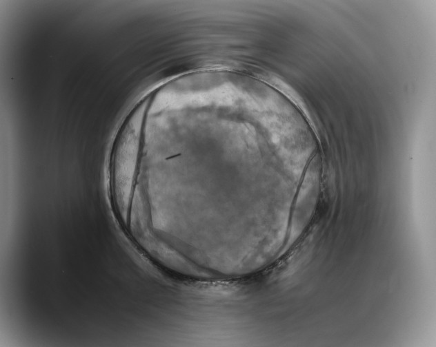 X0000088480811200706121530