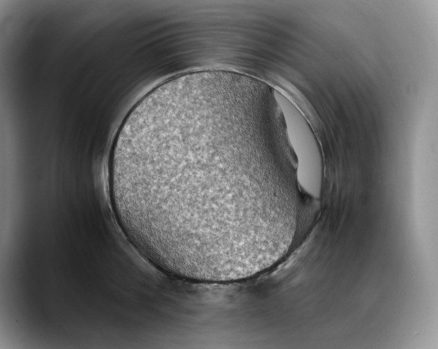 X0000088480812200706121530