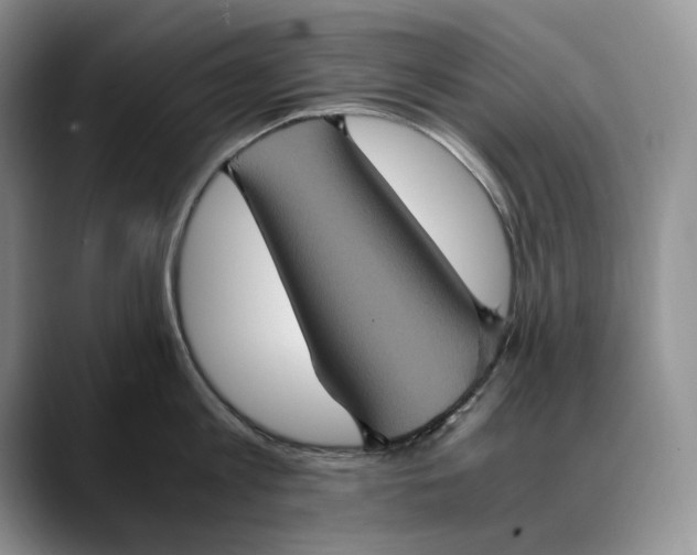 X0000088480813200706121529