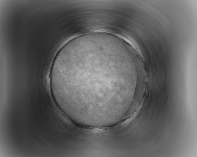 X0000088480814200706121529