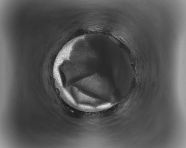X0000088480817200706121529
