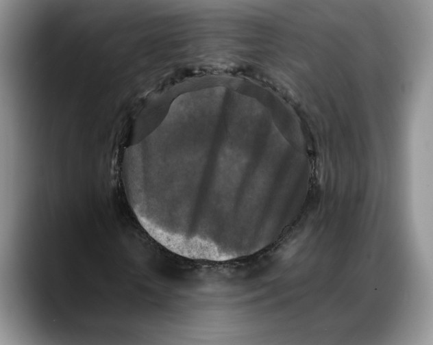 X0000088480818200706121529